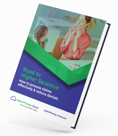 road-to-higher-revenue-guide-book-slp